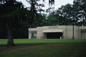 Georgia Department of Natural Resources, Magnolia Springs Aquarium