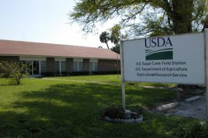 USDA, Sugar Cane Field Station