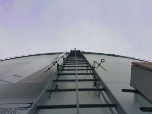 Fall arrest system on a ladder